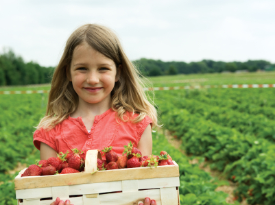 Girl with basket strawberry