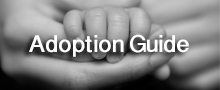 adoption guide