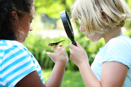 kids with butterfly