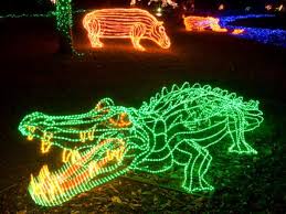 zoo lights