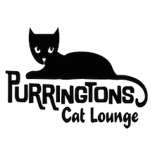 purrington's cat lounge logo