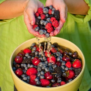 oregon berry festival