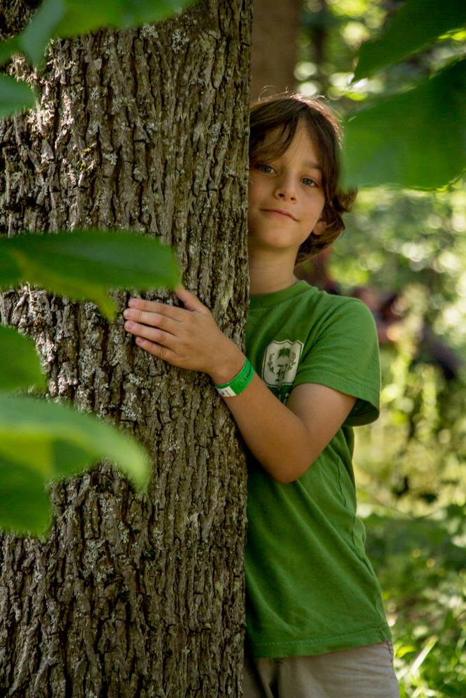 tree hug