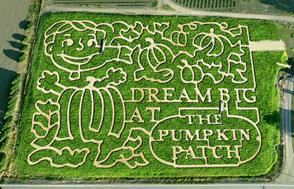 Pumpkin Patch Maze1