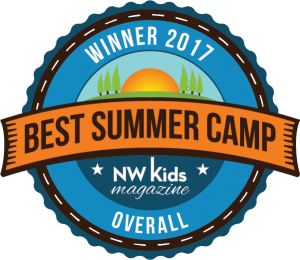 2017 Best overall camp