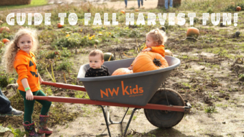 guide to fall Harvest fun!