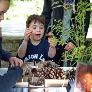 A youth explores different seeds and cones at a seasonal nature exploration station.