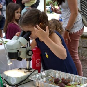 A youth looks through a microscope at a seasonal nature exploration station.