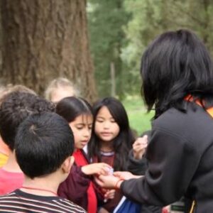 1st graders gather around to look at hazelnut seeds in the palm of a nature educator on a field trip.