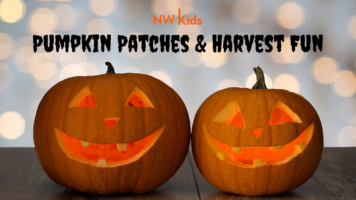 Pumpkin Patches