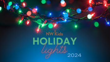 Holiday Lights 2024